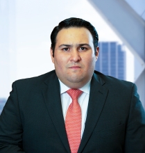 Sebastián Rosales Ortega - Garrigues