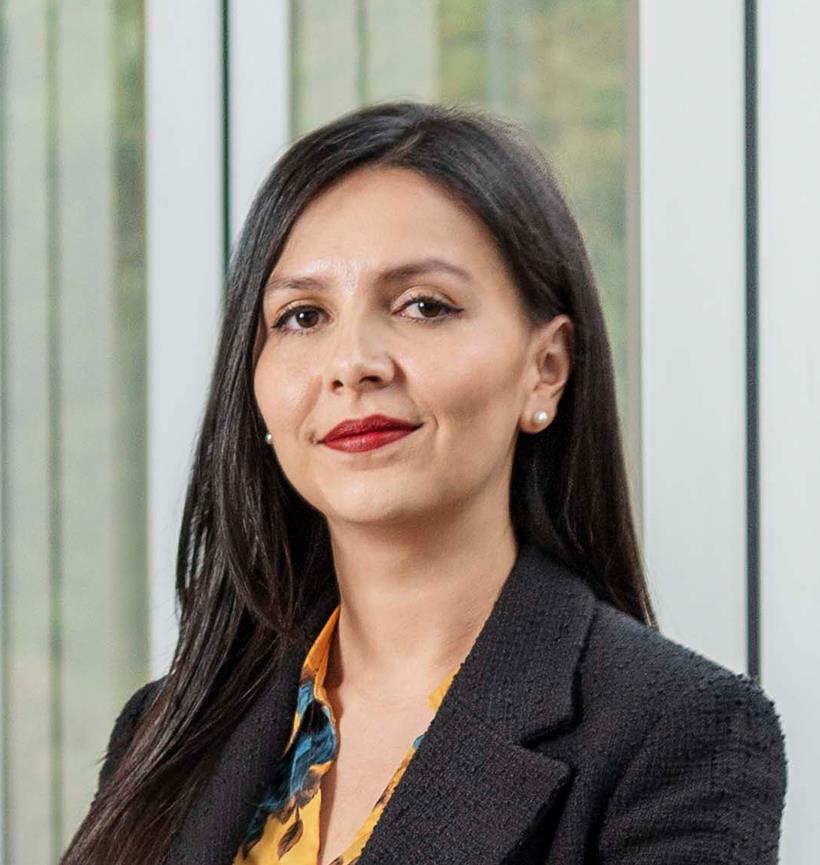 Diana Carolina Pérez Forero - Garrigues